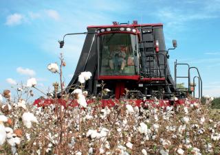 Moissonneuse-batteuses Case IH Module Express 635