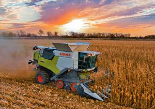 Moissonneuse-batteuses Claas Trion 740 Terra Trac