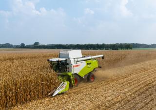 Moissonneuse-batteuses Claas Tucano 550