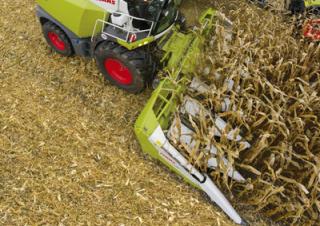 Accessoires pour moissonneuses-batteuses Moissonneuses-batteuses ramasseuses de maïs Claas Corio 875 FC