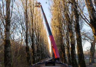 Nacelles à bras articulés Nacelles à bras articulés sur chenilles Hinowa TeleCrawler 22S