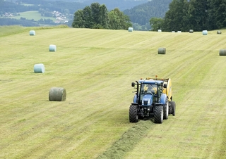 Presses à balles rondes New Holland Roll Belt 180 Crop Cutter