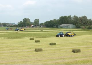 Presses de grandes balles + à haute pression New Holland BB 1290 S