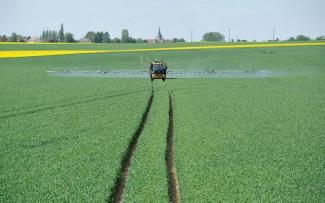 Pulverisateurs Automoteurs Challenger RoGator 655