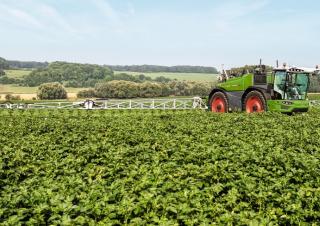 Pulverisateurs Automoteurs Fendt Rogator 635