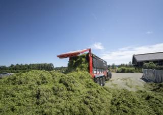 Remorques autochargeuses d'ensilage Pöttinger Jumbo 8450 DB