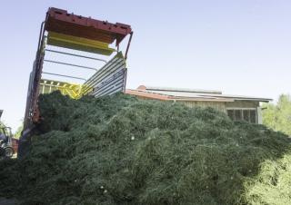 Remorques autochargeuses d'ensilage Pöttinger Primo 801 L