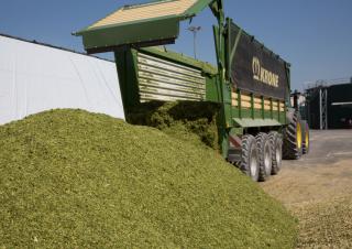 Remorques autochargeuses d'ensilage Krone TX 460 