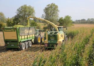 Remorques autochargeuses d'ensilage Krone TX 460 