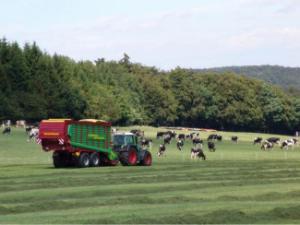 Remorques autochargeuses d'ensilage Strautmann Giga-Vitesse CFS 4001 DO