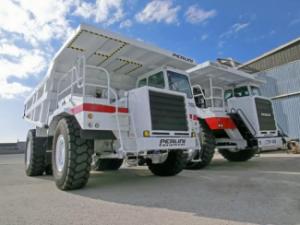 Tombereaux Rigides Perlini DP 705 WD