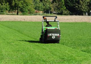 Tondeuses à gazon autoportées et tracteurs de jardin Etesia HYDRO 124 DL