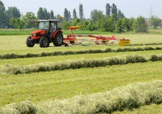 Tracteurs 4WD SAME Dorado 100 Natural 