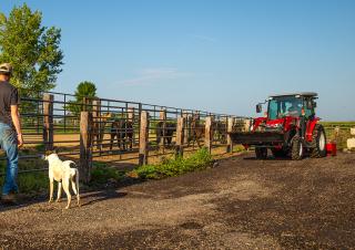 Tracteurs 4WD Massey Ferguson MF 1765 M