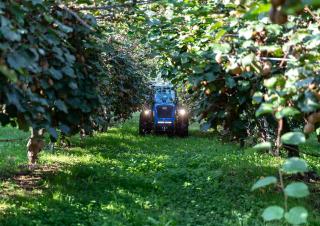 Tracteurs 4WD BCS Eagle 85 SDT