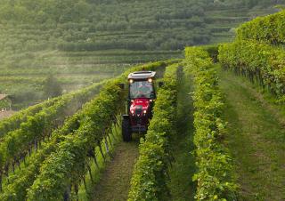 Tracteurs 4WD Valtra F105S