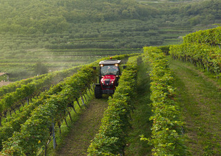 Tracteurs 4WD Valtra F75S