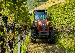 Tracteurs 4WD Valtra F85S