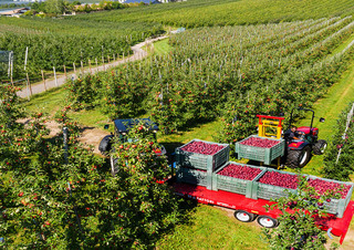 Tracteurs 4WD Valtra F85S