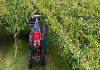 Tracteurs 4WD Valtra F85S