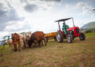 Tracteurs 4WD Massey Ferguson MF 35