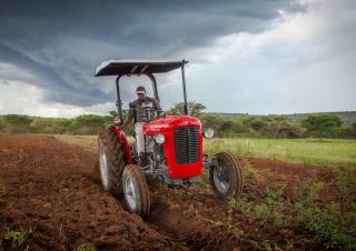 Tracteurs 4WD Massey Ferguson MF 35