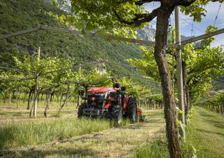Tracteurs 4WD Massey Ferguson MF 3GE.75 
