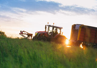 Tracteurs 4WD Massey Ferguson MF 8S.305 