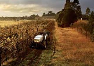Tracteurs 4WD Lamborghini RV.80 DT Inversore Meccanico