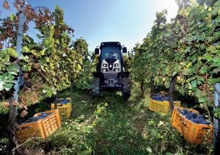 Tracteurs 4WD Lamborghini Spire V 80 