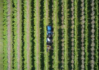 Tracteurs 4WD BCS Valiant 60 AR Micro 