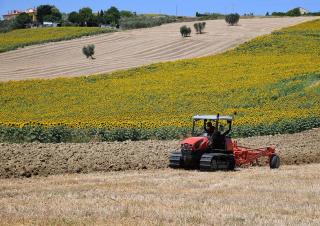 Moissonneuse-batteuses DEUTZ-FAHR C 7205 Farmline