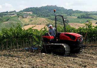 Moissonneuse-batteuses DEUTZ-FAHR C 7206 TS Farmline Extra Power