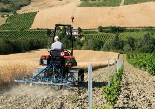 Moissonneuse-batteuses DEUTZ-FAHR C 7206 TS Farmline Extra Power