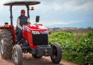 Tracteurs roues arrière Massey Ferguson MF 2630