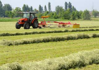 Tracteurs 4WD SAME Dorado 80 Natural 