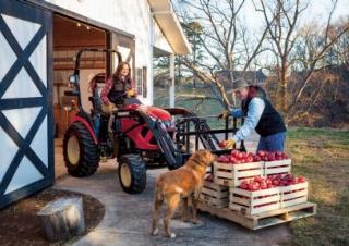Véhicule Tracteurs municipaux Yanmar SA424V-R 