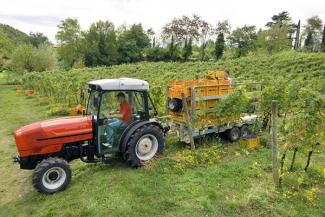 Tracteurs 4WD SAME Frutteto³ V 90.3 DT