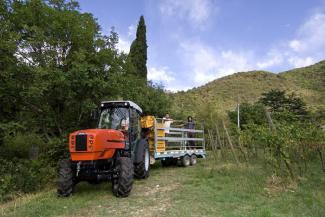 Tracteurs 4WD SAME Frutteto³ V 90.3 DT