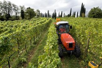 Tracteurs 4WD SAME Frutteto³ V 90.3 DT