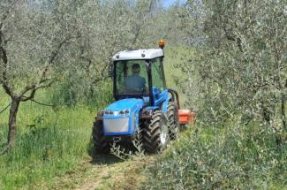 Tracteurs 4WD BCS Valiant 550 MT Rev.