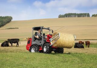 Valet de ferme Weidemann 1380