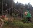 Machines forestières Abatteuse forestière Neuson Forest 183HVT