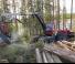 Machines forestières Abatteuse forestière Komatsu 951