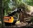 Chargeurs compacts JCB 225T