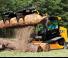 Chargeurs compacts JCB 300T