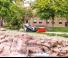 Chargeurs compacts Bobcat MT100