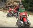Chargeurs frontaux Case IH L4222U