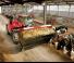 Chariot Élévateur Télescopique Manitou MLT 840-115 PS