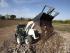 Chargeuses pelleteuses Terex TLB 890